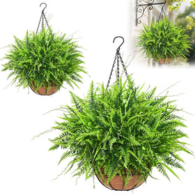 Yastouay artificial hanging ferns on a front porch add year-round green charm.