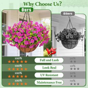 Yastouay boxwood petunias bundles with coconut basket for easy decorative setup