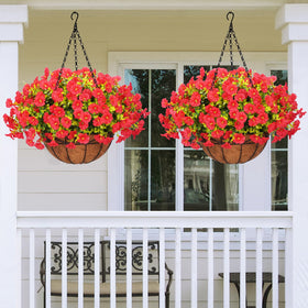 Yastouay boxwood petunias in red hanging basket for garden entry.