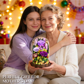 Yastouay glass dome gift box enhances presentable gifting