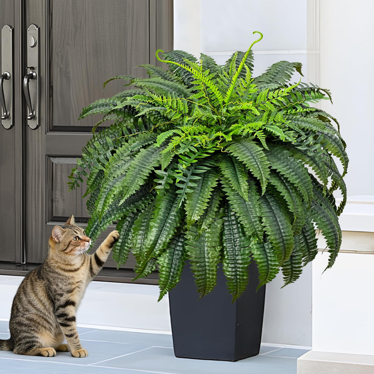 Yastouay maintenance-free fern with vibrant leaves for quick setup