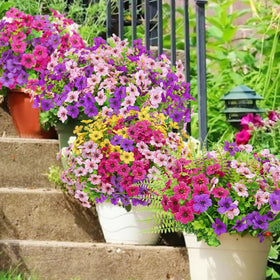 Yastouay fuchsia-pink-rose-red-fern bundle showcases varied textures