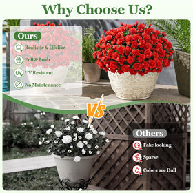 Yastouay garden porch window-box decor setup for versatile spaces.