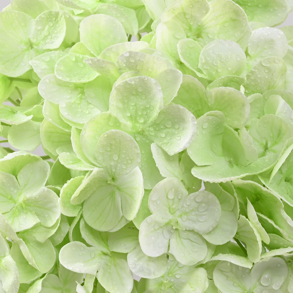 Yastouay Green hydrangea stems with bendable iron wire.