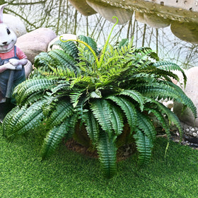 Yastouay hanging basket fern for outdoor elegance