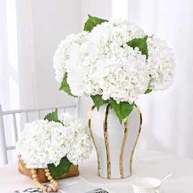 Yastouay four-pack hydrangeas in full bloom for weddings and events
