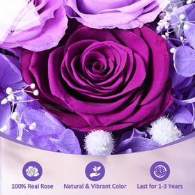 Yastouay lavender vanilla candles evoke a calming ambiance.