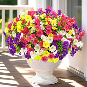 Yastouay morning glory purple bundle for outdoors adds vibrant color with low maintenance.