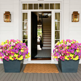 Yastouay outdoor 14-bundle set shows colorful palette on display