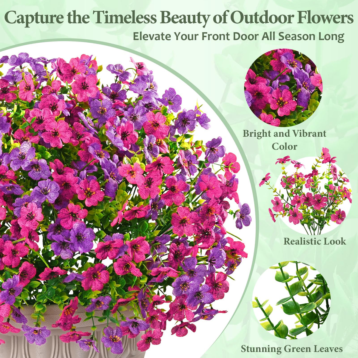 Yastouay fuchsia-pink-rose-red-ferns outdoor flowers for mixed color displays