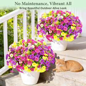 Yastouay garden yard display featuring mixed colors blooms