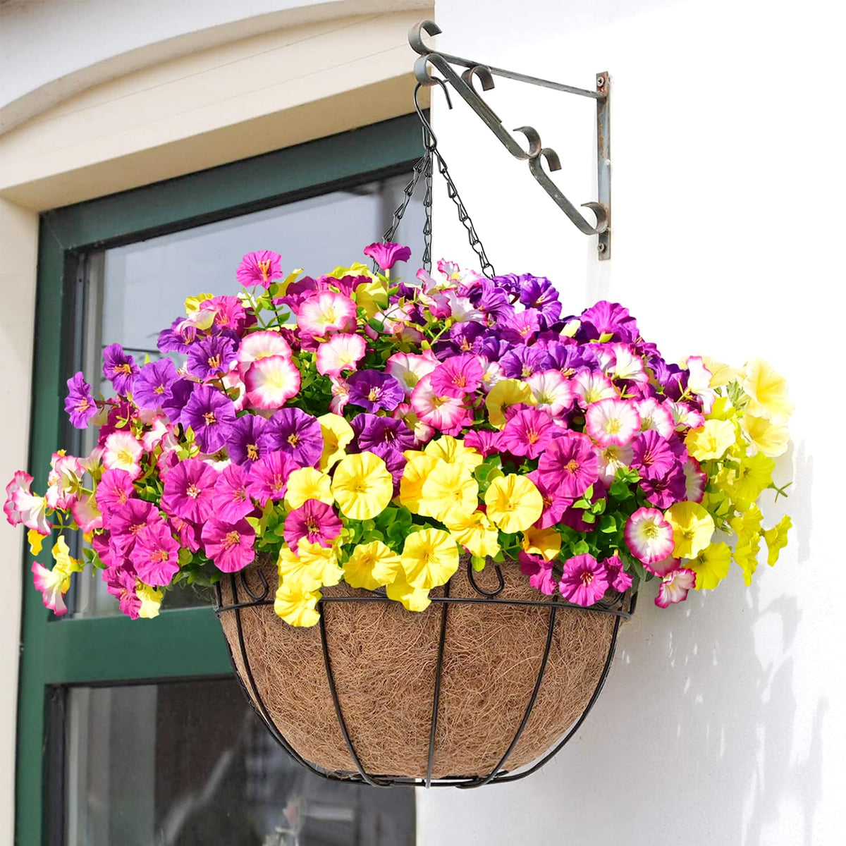 Yastouay mixed colors morning glory for curb appeal and décor
