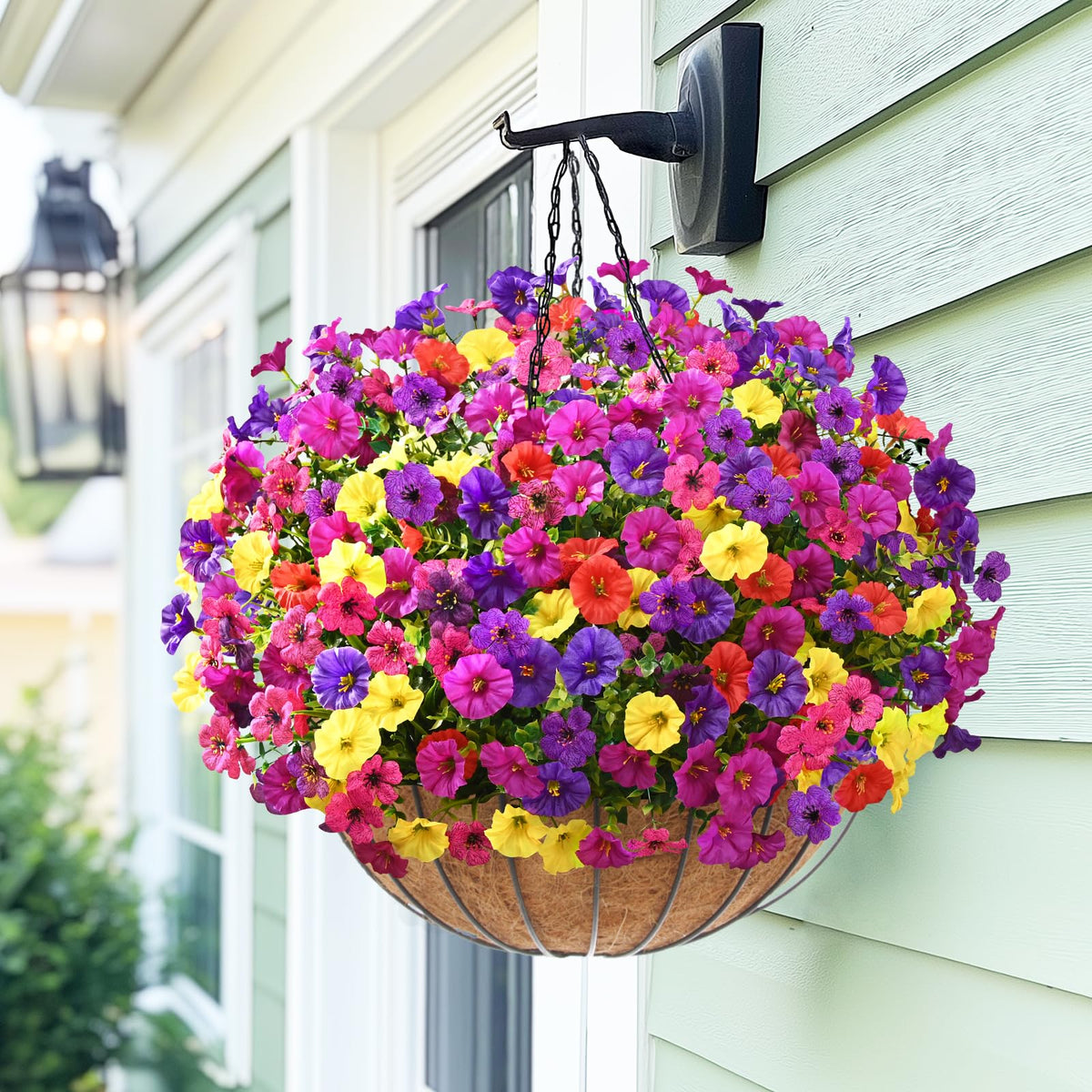 Yastouay outdoor flowers brighten window boxes with lasting color.