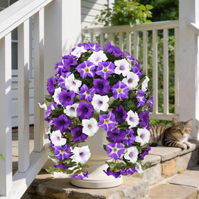 30-inch hanging Yastouay petunias create a bold outdoor focal point