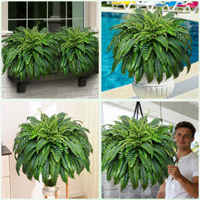 Yastouay planter display fern requires no assembly