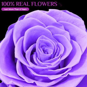 Yastouay purple glow base lights the rose dome softly