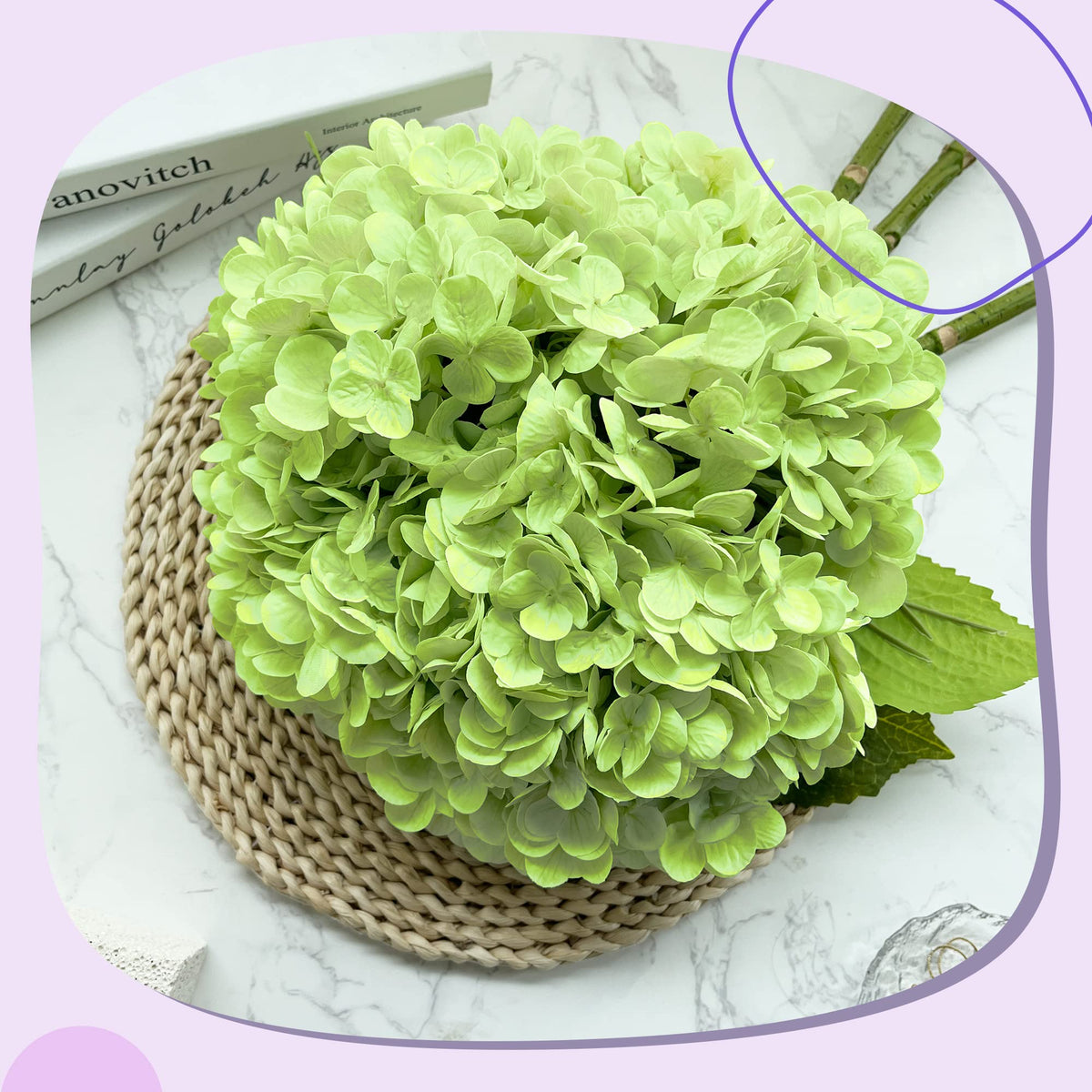 Yatim five-pack hydrangea heads with stems ready for quick bouquet DIY