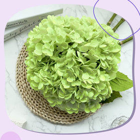 Yatim five-pack hydrangea heads with stems ready for quick bouquet DIY