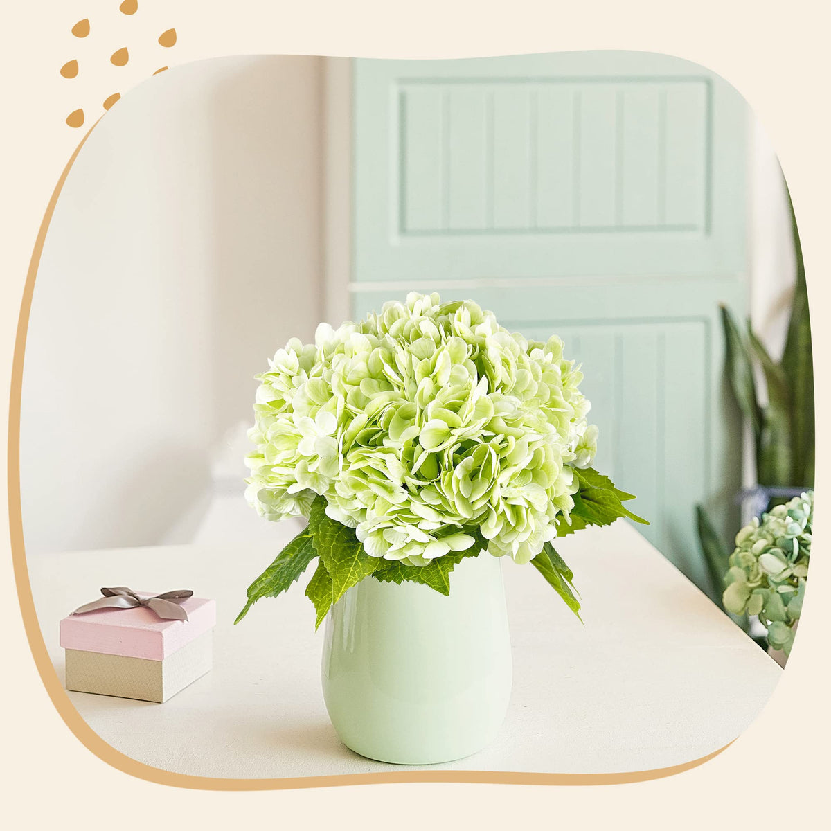 Allergen-friendly hydrangea option for pollen-sensitive spaces