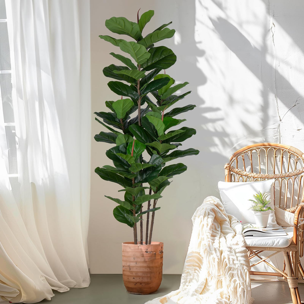 Yepdin gift-ready fiddle fig tree suits houseswarming and holidays.