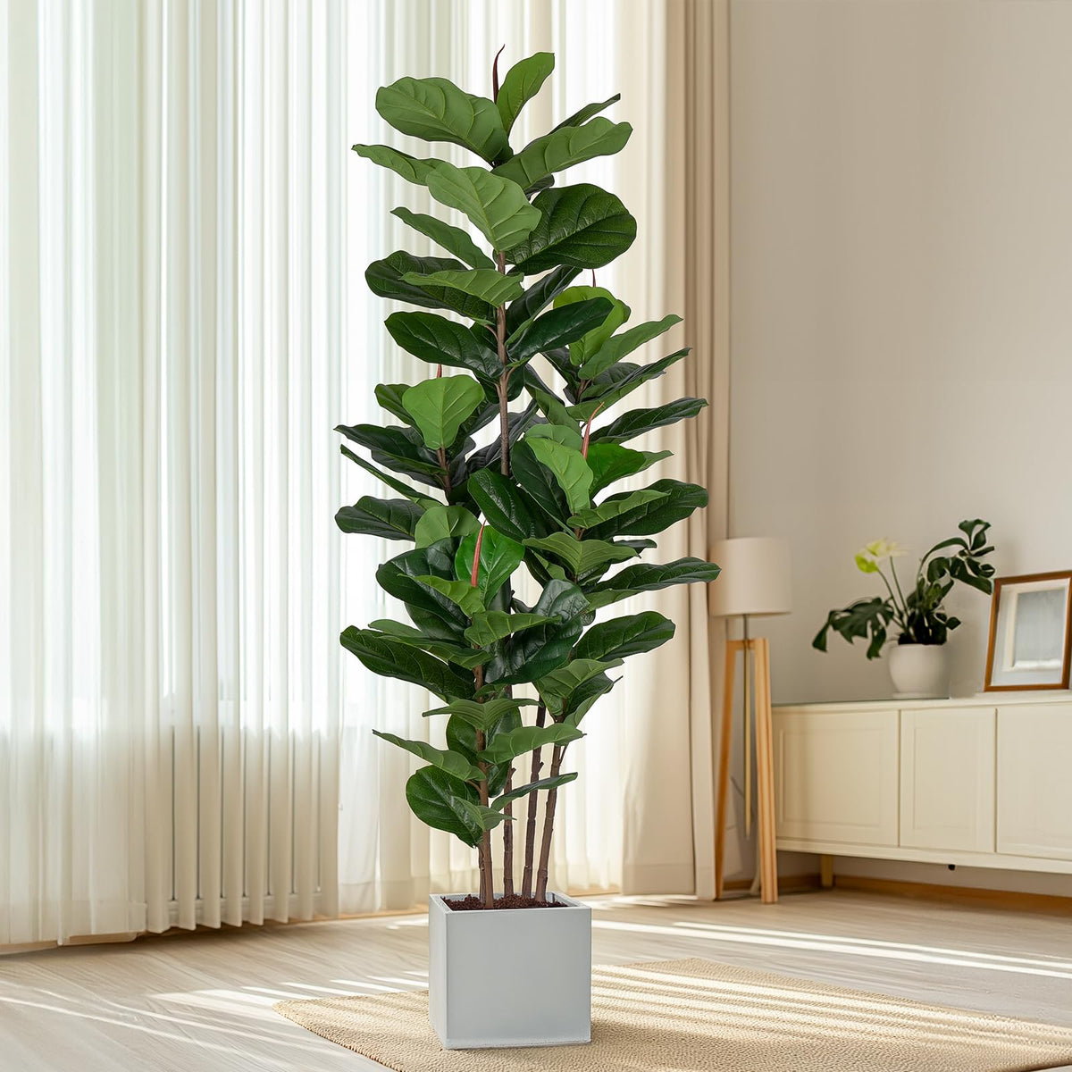 Yepdin indoor outdoor fig tree setup adds tropical vibe to spaces.