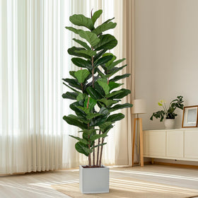 Yepdin indoor outdoor fig tree setup adds tropical vibe to spaces.