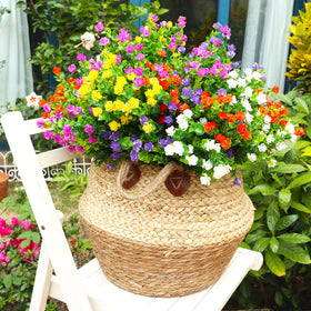 YIBUKIY uv tolerant flowers endure sun and rain