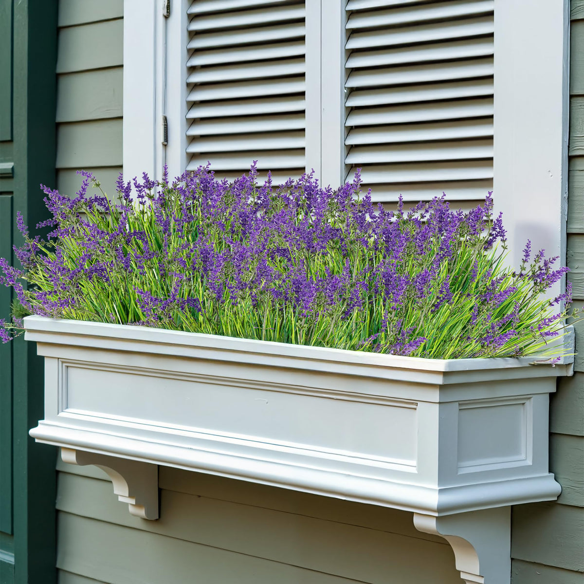 Yimingjin outdoor monkey tail grass with flowers in planter setting