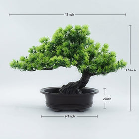 Yoerm living room bonsai adds calming greenery to seating areas.