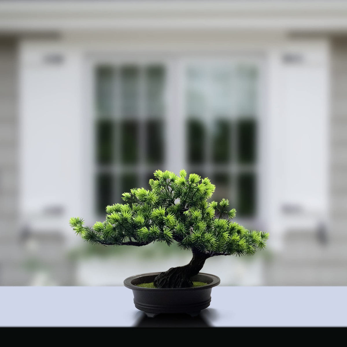 Yoerm bonsai side table decor compact, maintenance-free centerpiece.