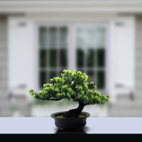 Yoerm bonsai side table decor compact, maintenance-free centerpiece.