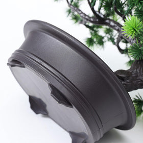 Yoerm bonsai wall shelf decor brings lush foliage to modern spaces.