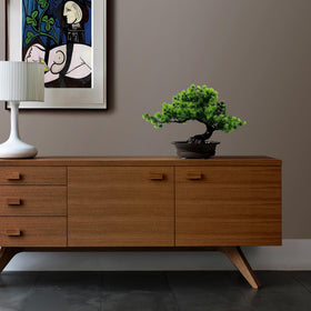 Yoerm brown oval pot complements green foliage for cohesive display.