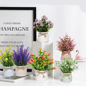 Yoratee mini potted flowers brighten windowsills with fade-resistant petals.