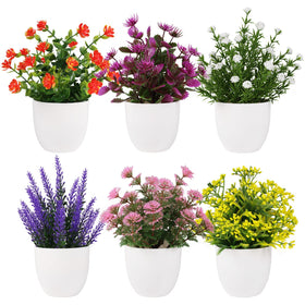 Yoratee artificial small plant set in a 6-pack displayed for decor and easy upkeep