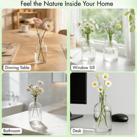 YOUEON lightweight transparent vase for simple arrangements