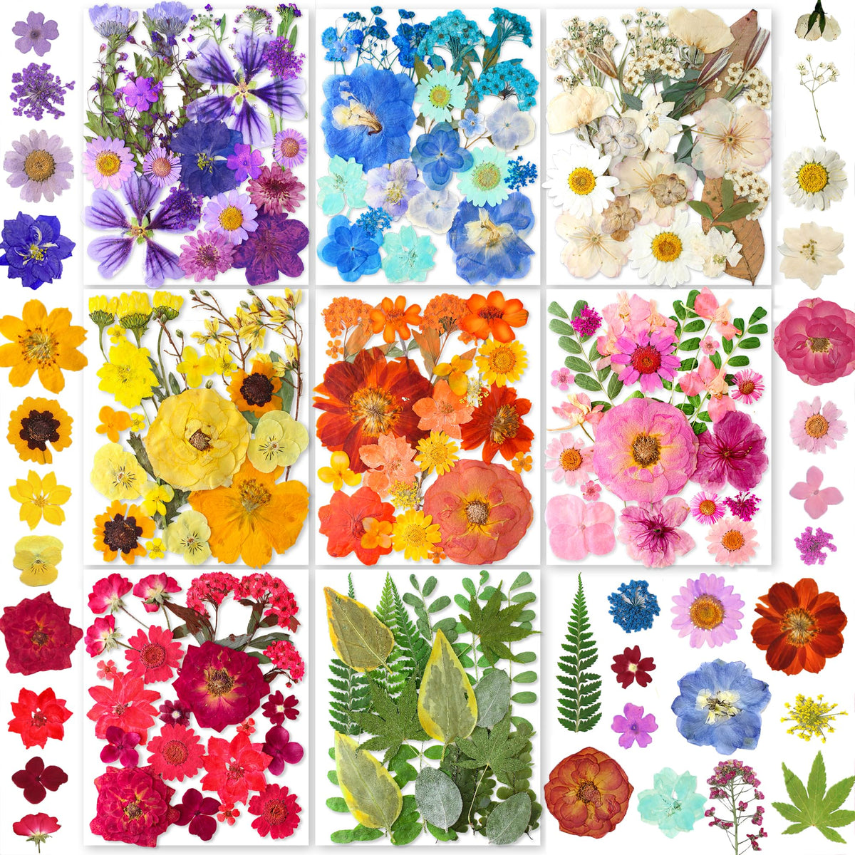 YouthBro 269pcs dried flowers pack for resin crafts and DIY decor.