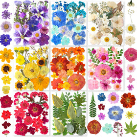 YouthBro 269pcs dried flowers pack for resin crafts and DIY decor.