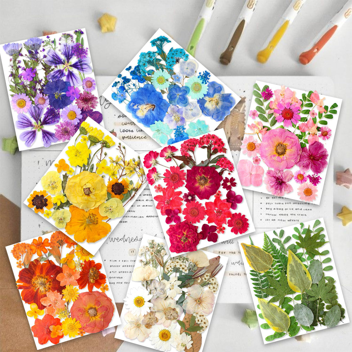 YouthBro dried flowers variety assortment for colorful handmade projects.