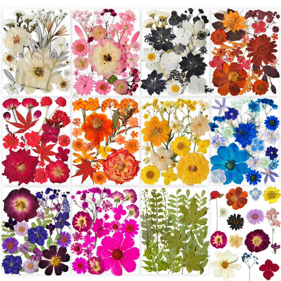YouthBro pressed flowers 13-in-1 kit for resin crafts and scrapbooking.