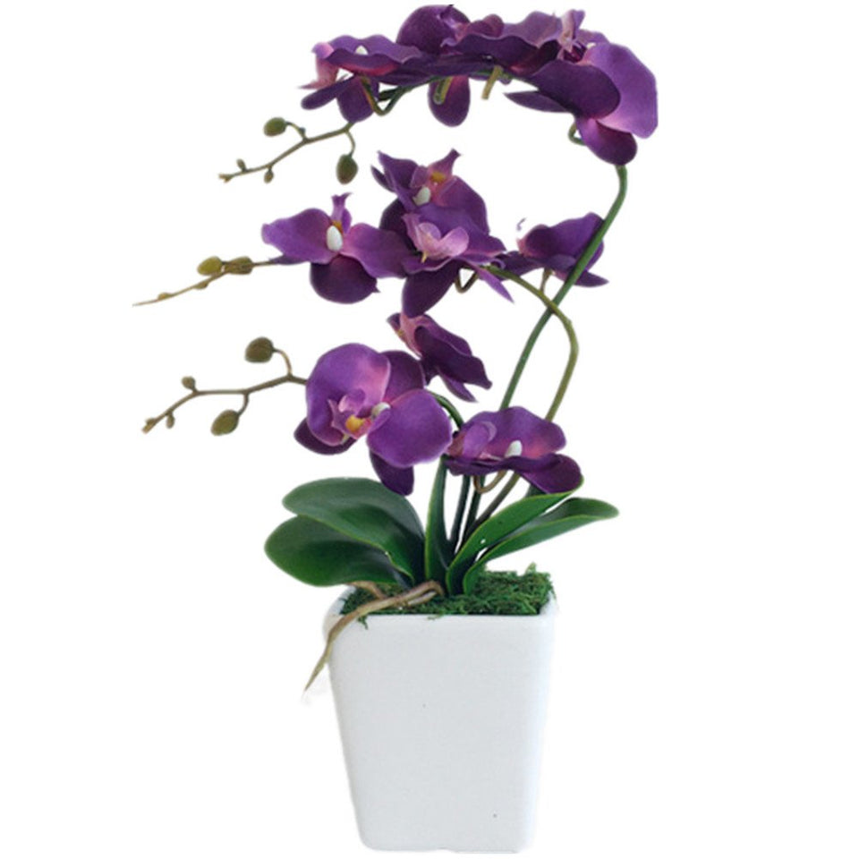 YSZL Phalaenopsis dark purple 15-inch arrangement in ceramic pot for stylish year-round decor.