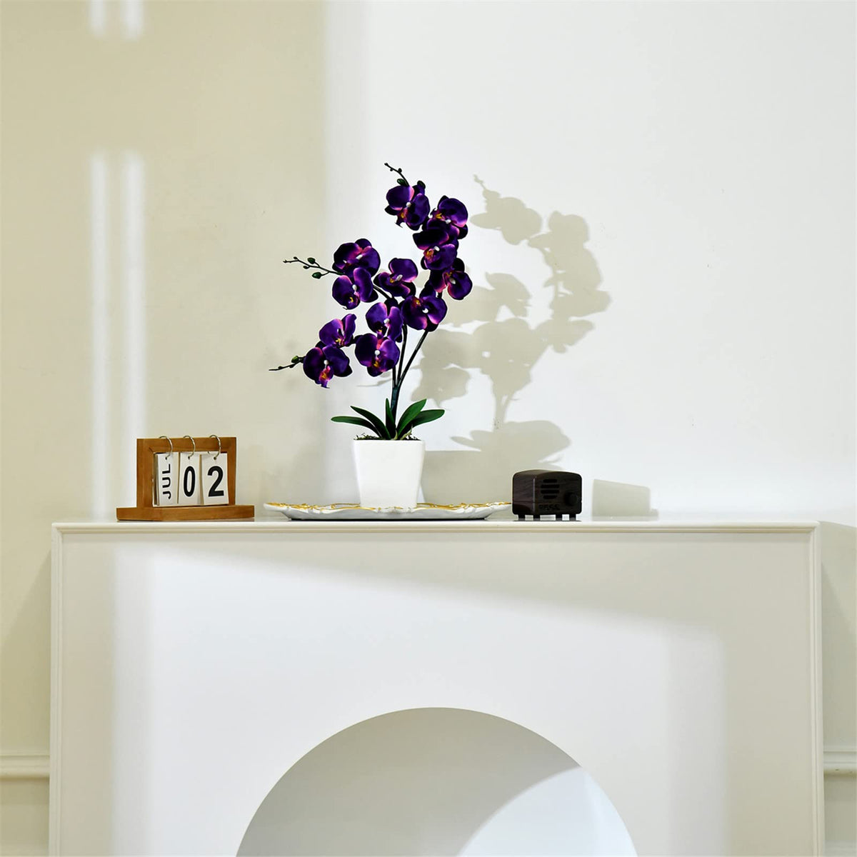 YSZL Phalaenopsis dark purple ceramic pot for stable display.