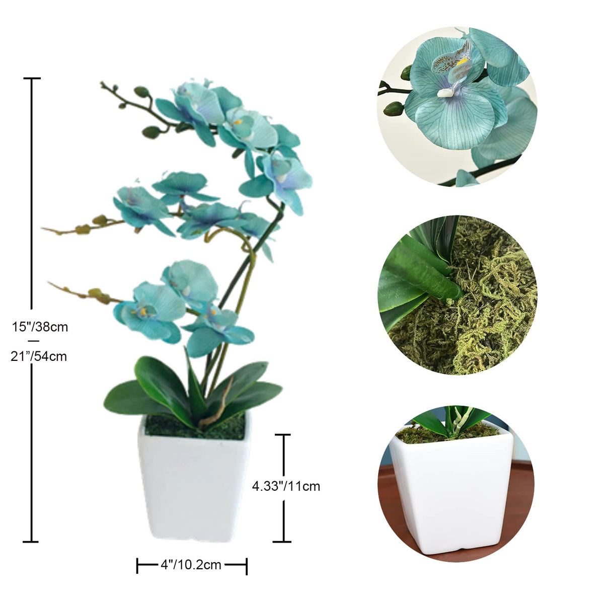YSZL Living room setup with teal orchid adds elegant focal point