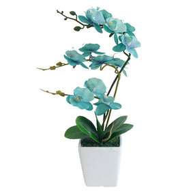 YSZL Phalaenopsis orchid teal arrangement brightens any space with a lifelike, maintenance-free look