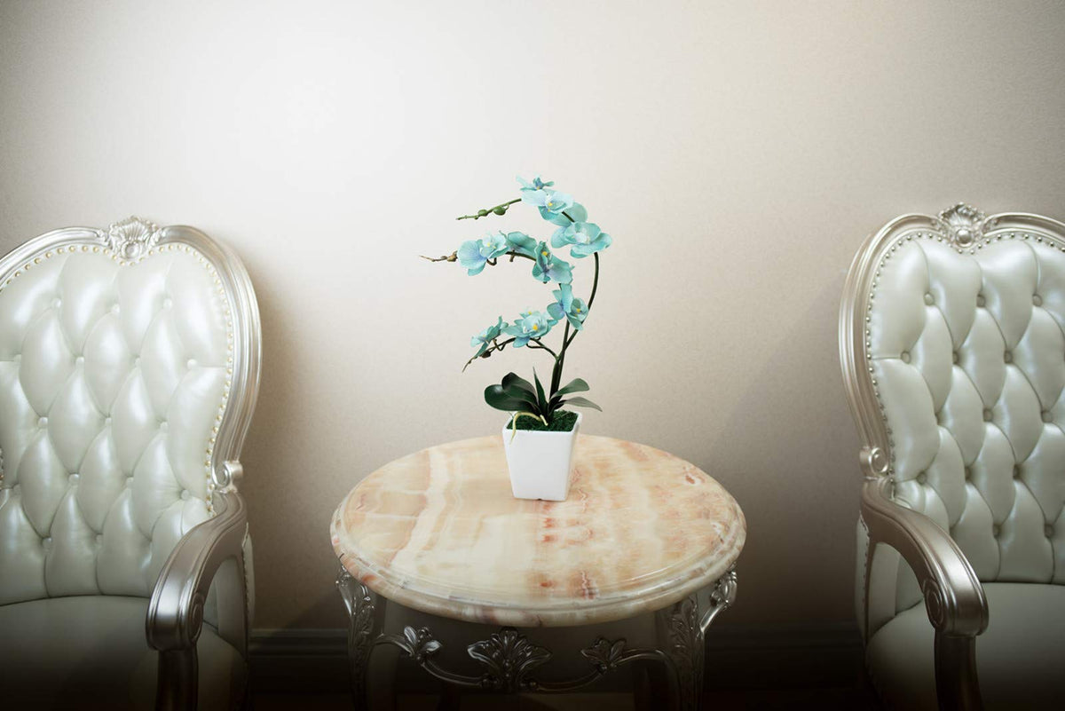 YSZL Phalaenopsis orchid teal bloom close-up showcases delicate silk petals and natural leaves