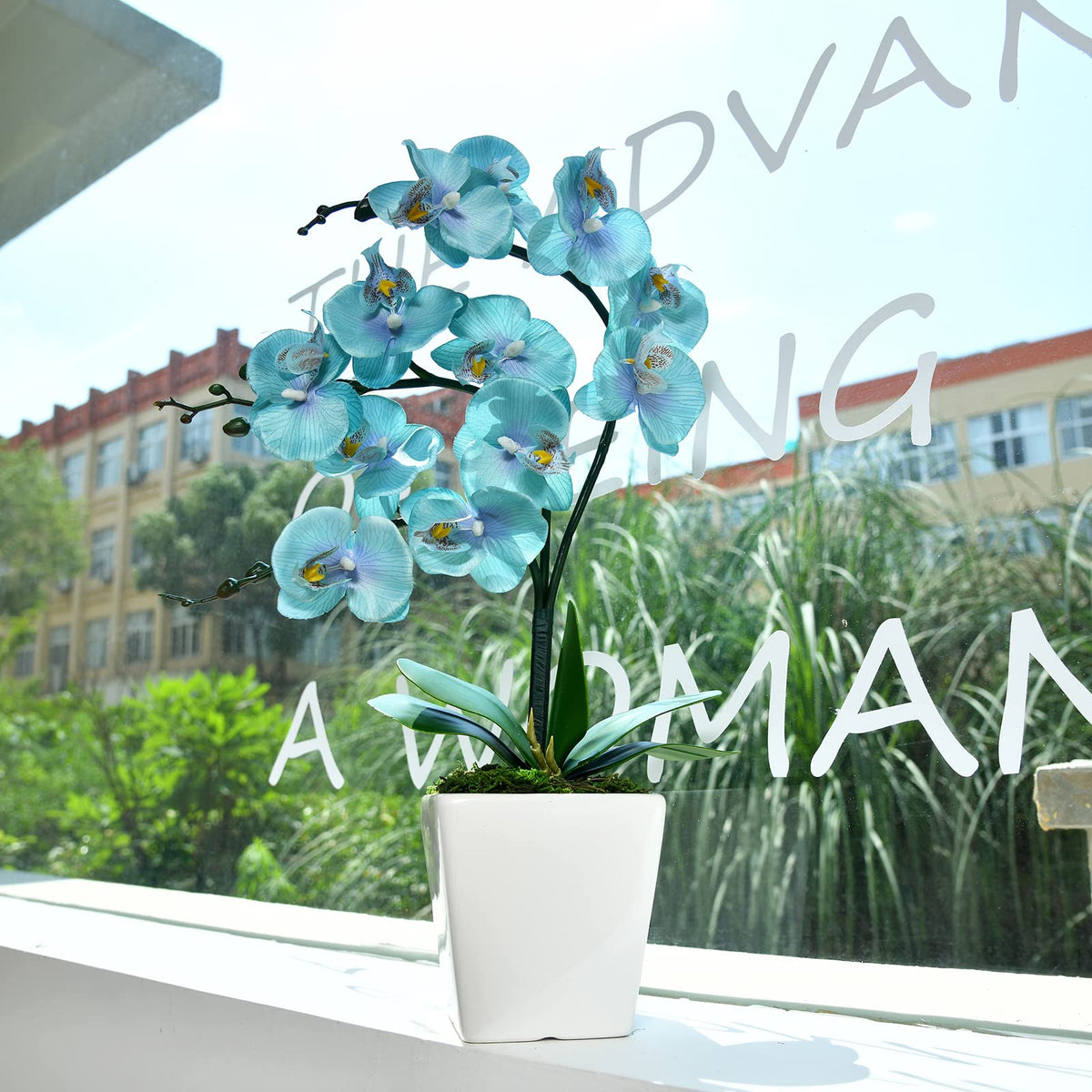 YSZL Three-stem orchid creates a balanced, layered look on shelves or tabletops
