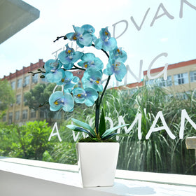 YSZL Three-stem orchid creates a balanced, layered look on shelves or tabletops