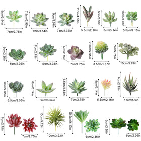 Yunsailing mini succulents variety collection adds color to pots and shelves.