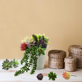 Yunsailing succulent arrangement for DIY crafts and home decor ideas.