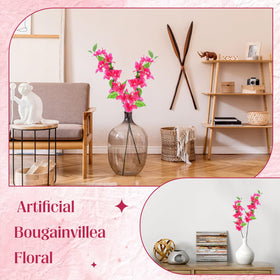 Yuxung outdoor indoor bougainvillea provides vivid color in any space.